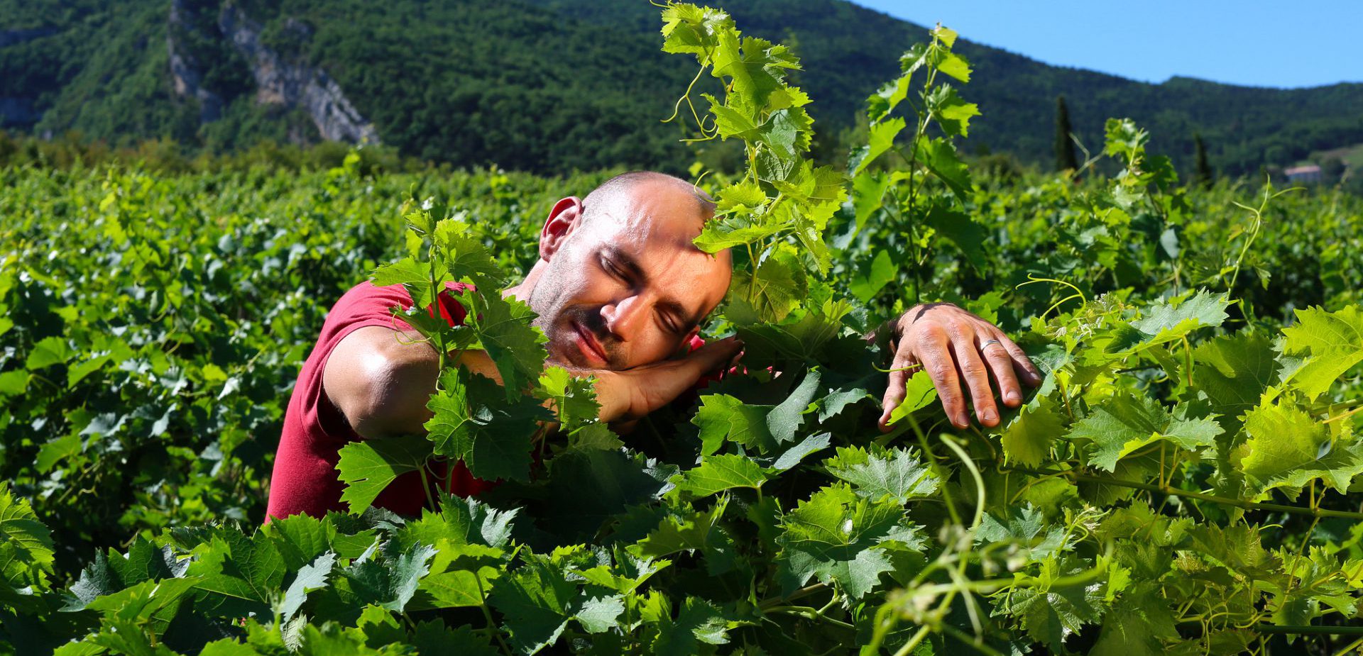 Vignerons Indépendants : l'Amour de la vigne.