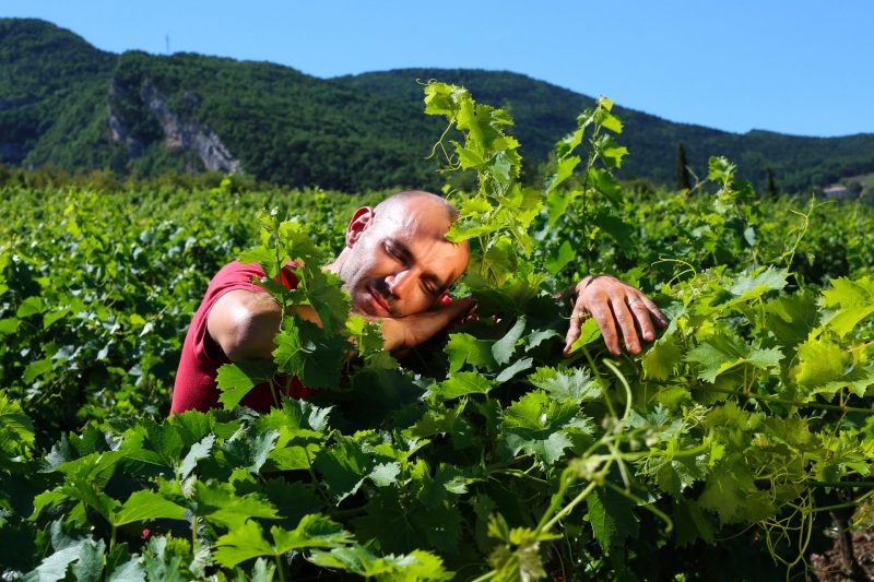 Vignerons Indépendants : l'Amour de la vigne.